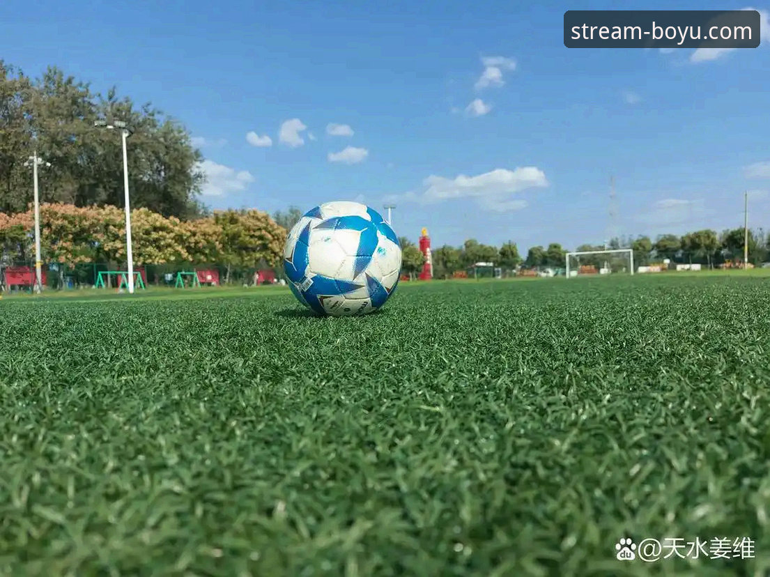 从“金元足球”到法庭审判：一场商业与体育交织的悲剧深度评测