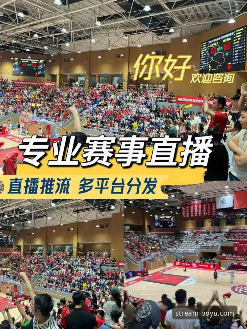 篮球赛事直播的深度体验指南：博鱼体育平台全面解析